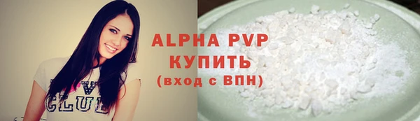 индика Новокубанск