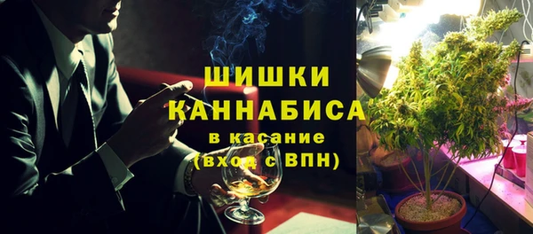 индика Новокубанск