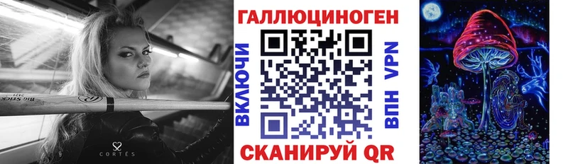 наркошоп  Мураши  Псилоцибиновые грибы GOLDEN TEACHER 